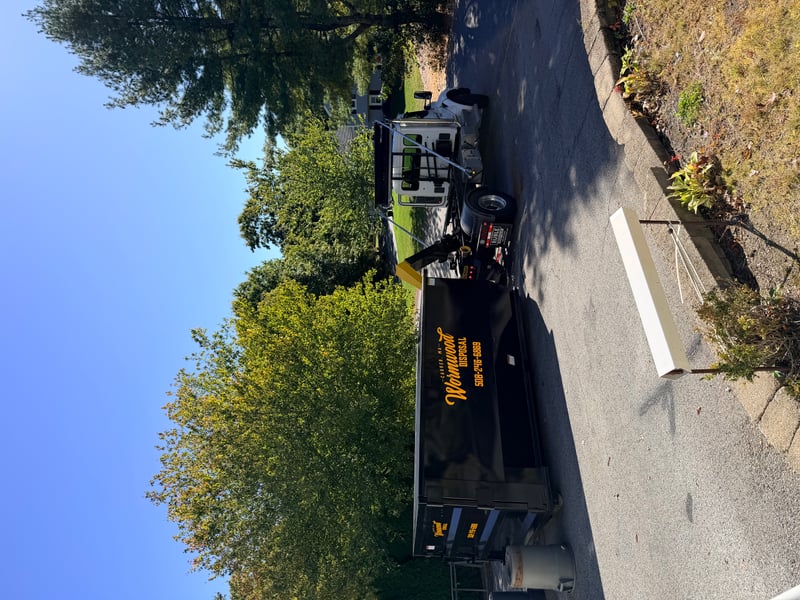 Wormwood 20 Yard Dumpster on residential driveway
