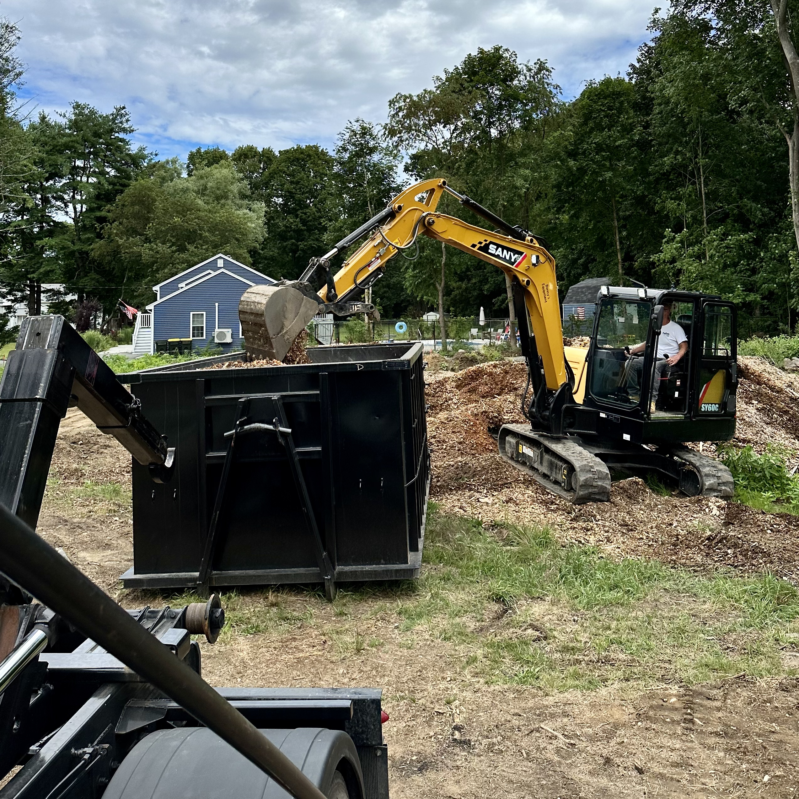 A Dumpster on the ground being live loaded with stumps by an excavator in West Bridgewater, Ma